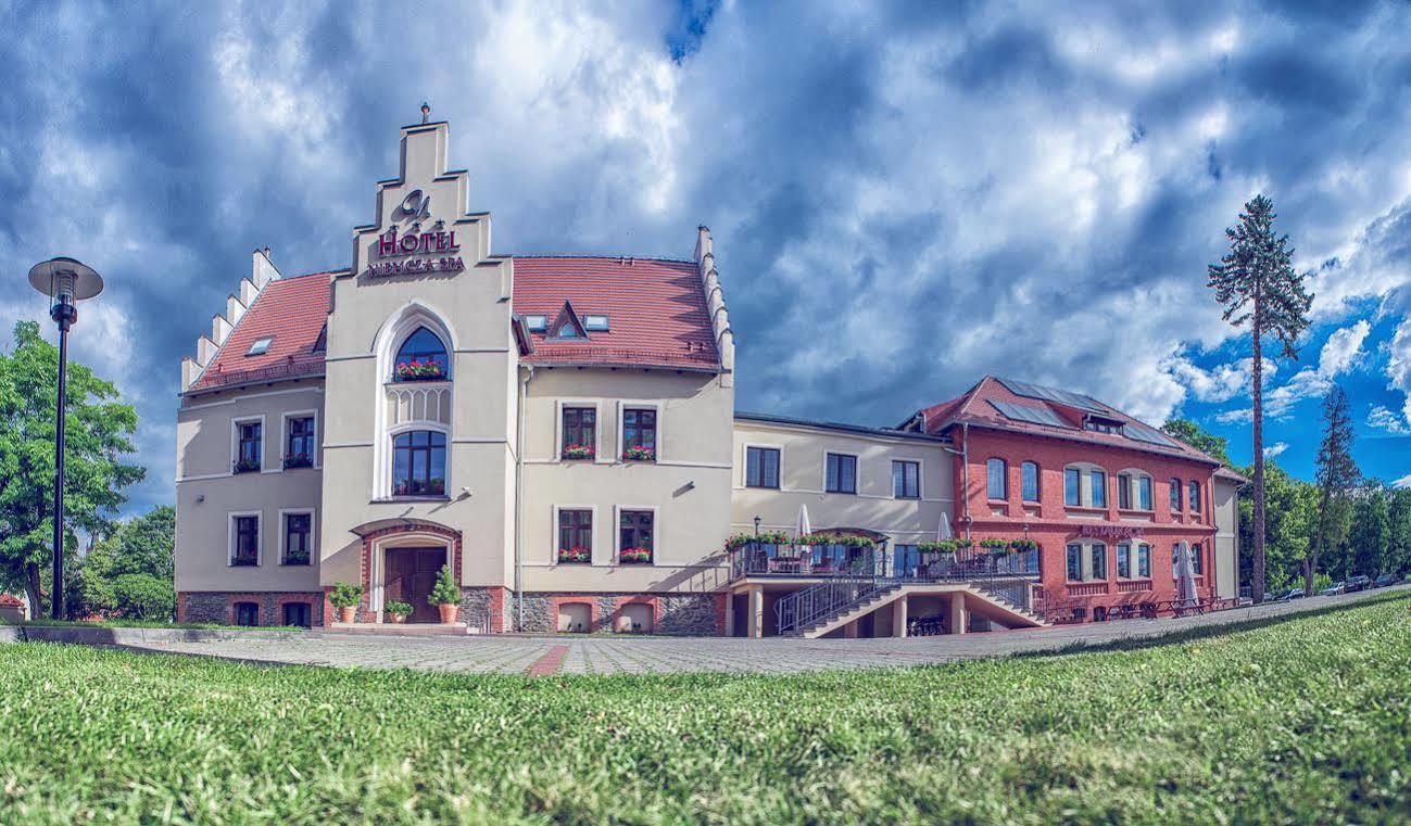 Hotel Niemcza Wino & Spa Extérieur photo